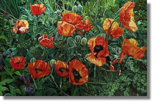 Poppies
oil on canvas
137 x 92 cm